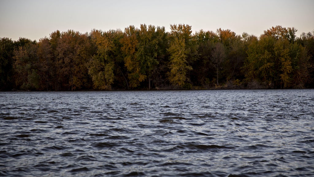 Watchdog says PFAS found in 100% of Minnesota water testing sites — WCCO / CBS Minnesota, Medina Health news