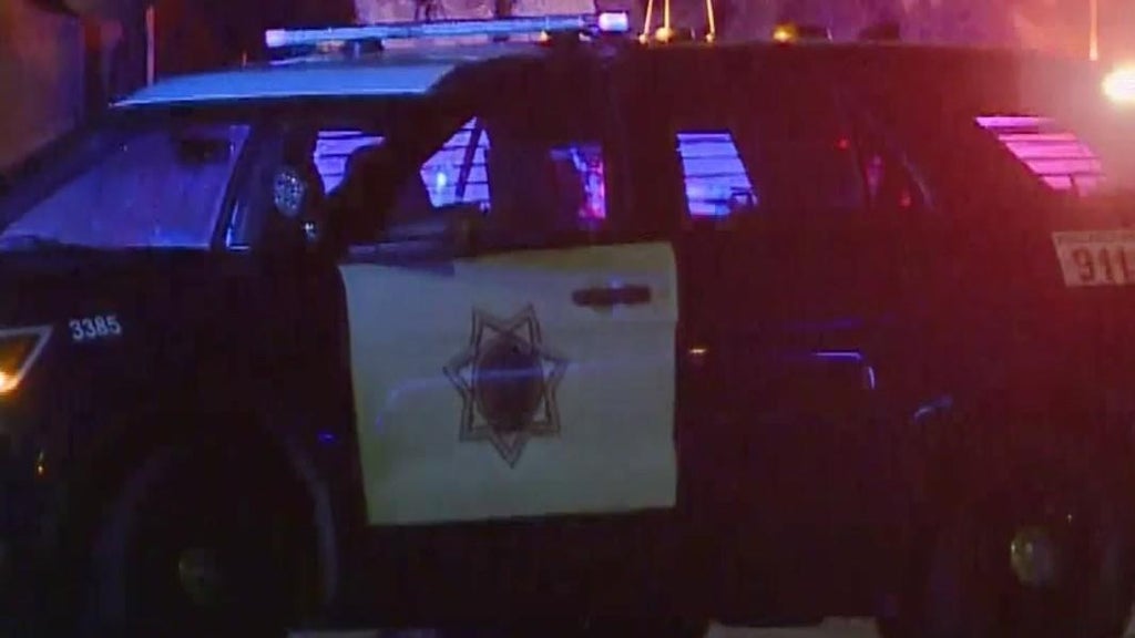 San Jose teens involved in traffic stop that preceded police shooting, attempted carjacking — CBS Bay Area (KPIX), Medina Schools news