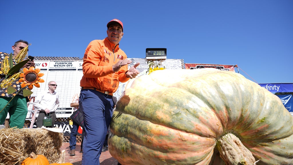 Minnesota man drives hauls giant pumpkin over 2,000 miles to California competition — WCCO / CBS Minnesota, Medina Community news