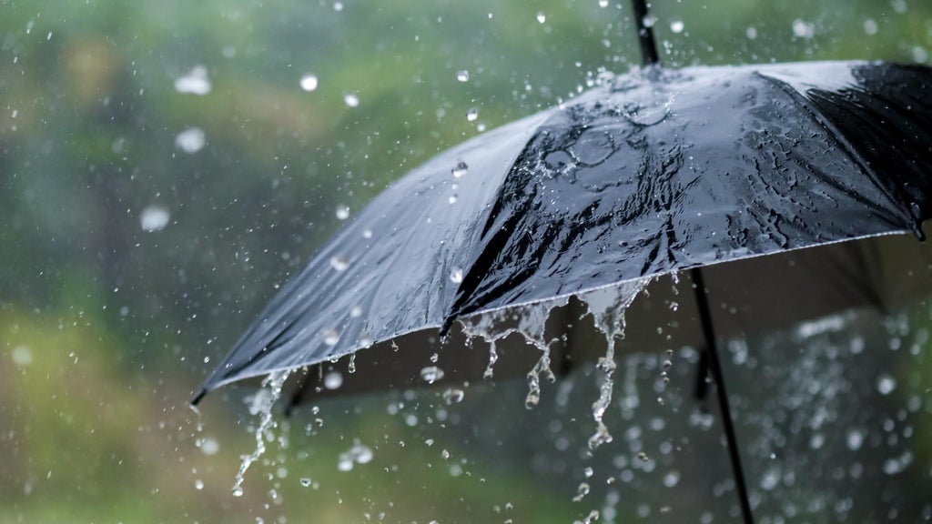 Widespread rain in Minnesota Monday; milder air returns Tuesday — WCCO / CBS Minnesota, Medina Community news