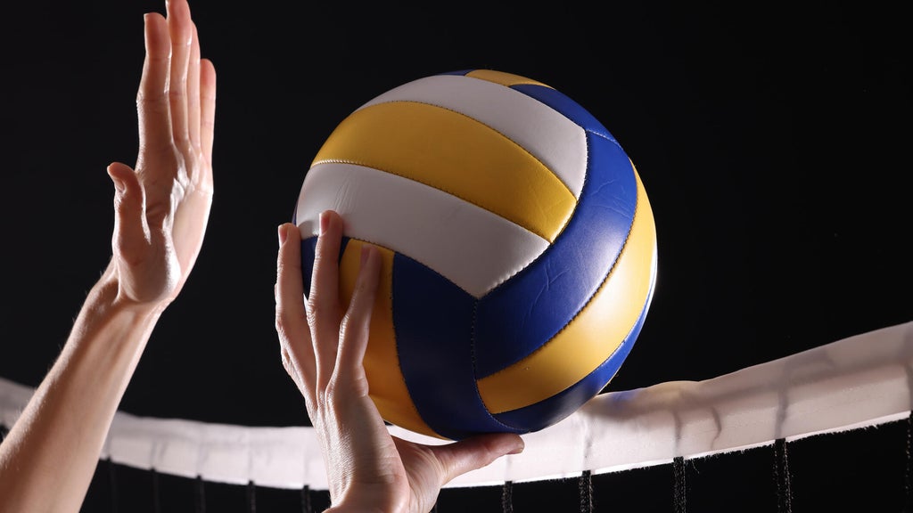 SeatGeek's first volleyball partner is the Minnesota Forge in a multiyear deal — WCCO / CBS Minnesota, Medina Business news