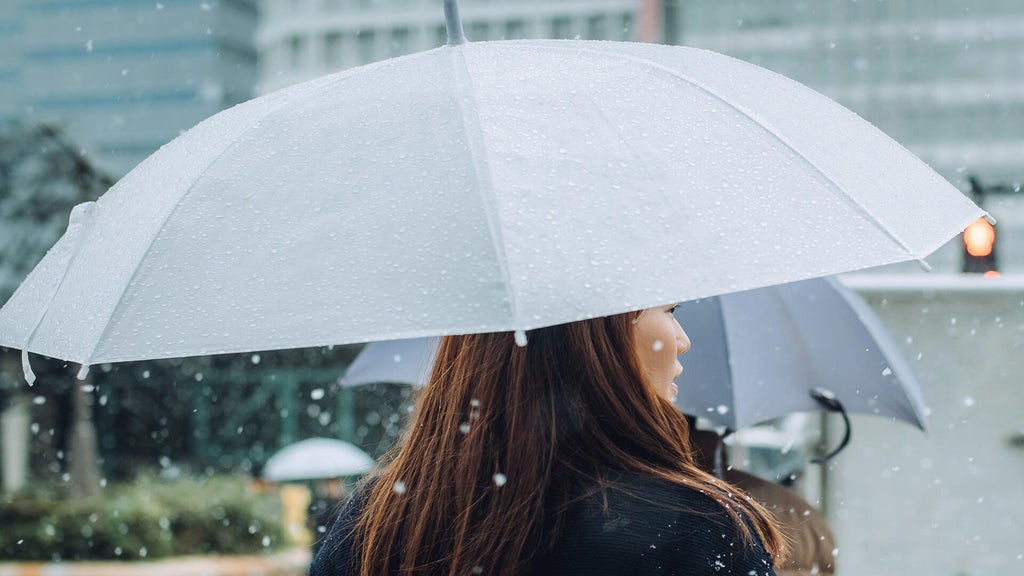 Soggy, chilly Thursday in the Twin Cities; season's first frost possible Saturday — WCCO / CBS Minnesota, Medina Sports news