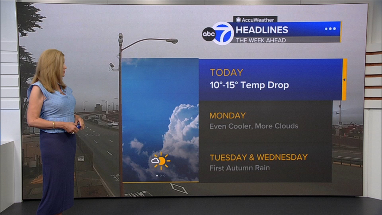 AccuWeather Forecast: Sunny, cool and breezy with 10-15 degree drop
— ABC 7 Bay Area, Medina Community news