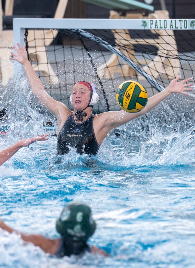Wilcox Water Polo Caught in Vikings Rip Current — Silicon Valley Voice, Medina Sports news