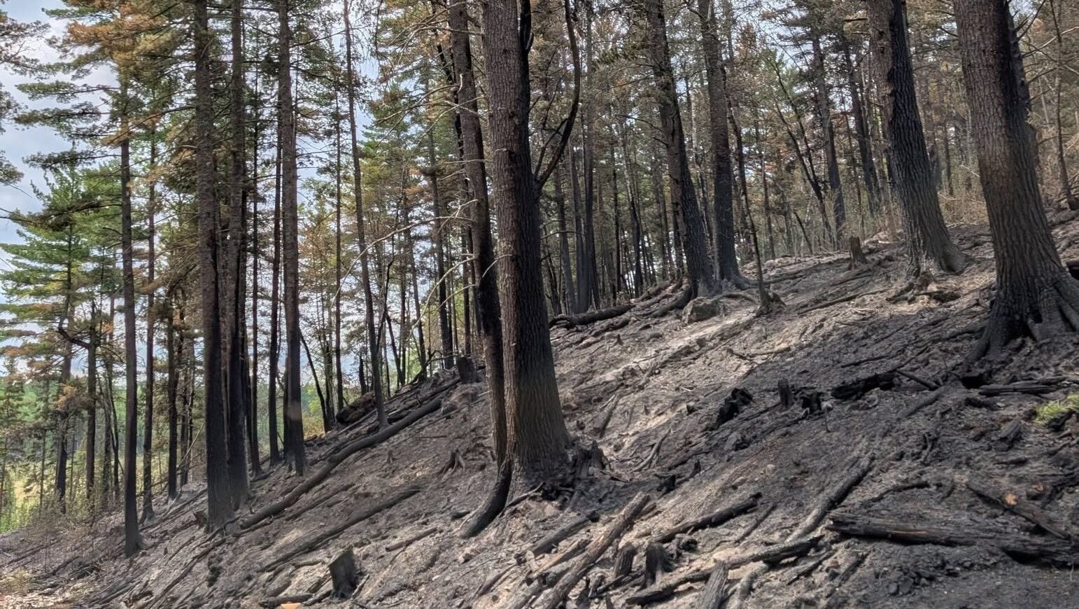 74-year-old who became separated from his family on a trail in Ely was discovered dead — KSTP 5, Medina Community news