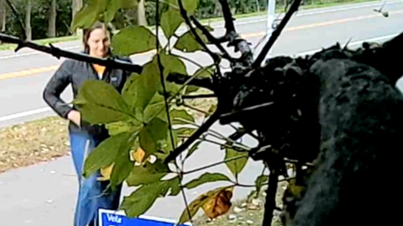 Video: Vadnais Heights council member removes mayoral candidate’s campaign sign, tosses it aside — KSTP 5, Medina Real Estate news