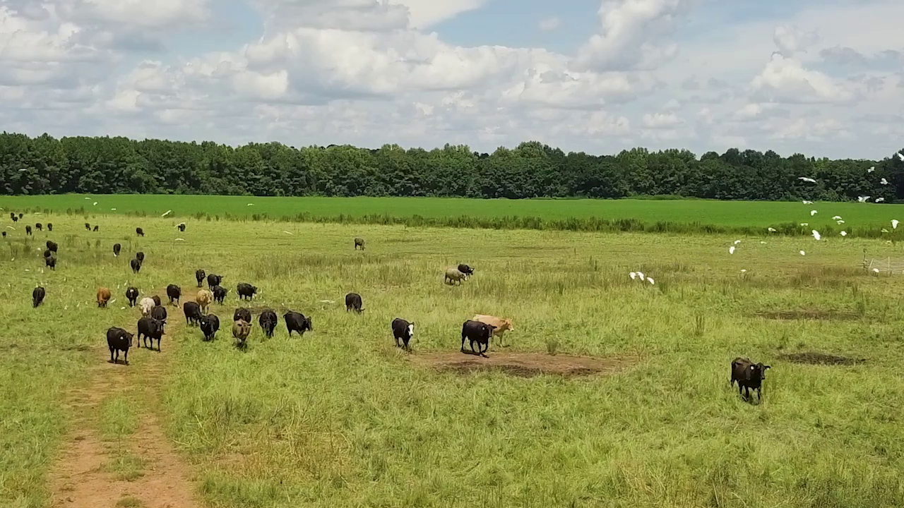 5 ON YOUR SIDE: Regenerative agriculture — Medina Health news
