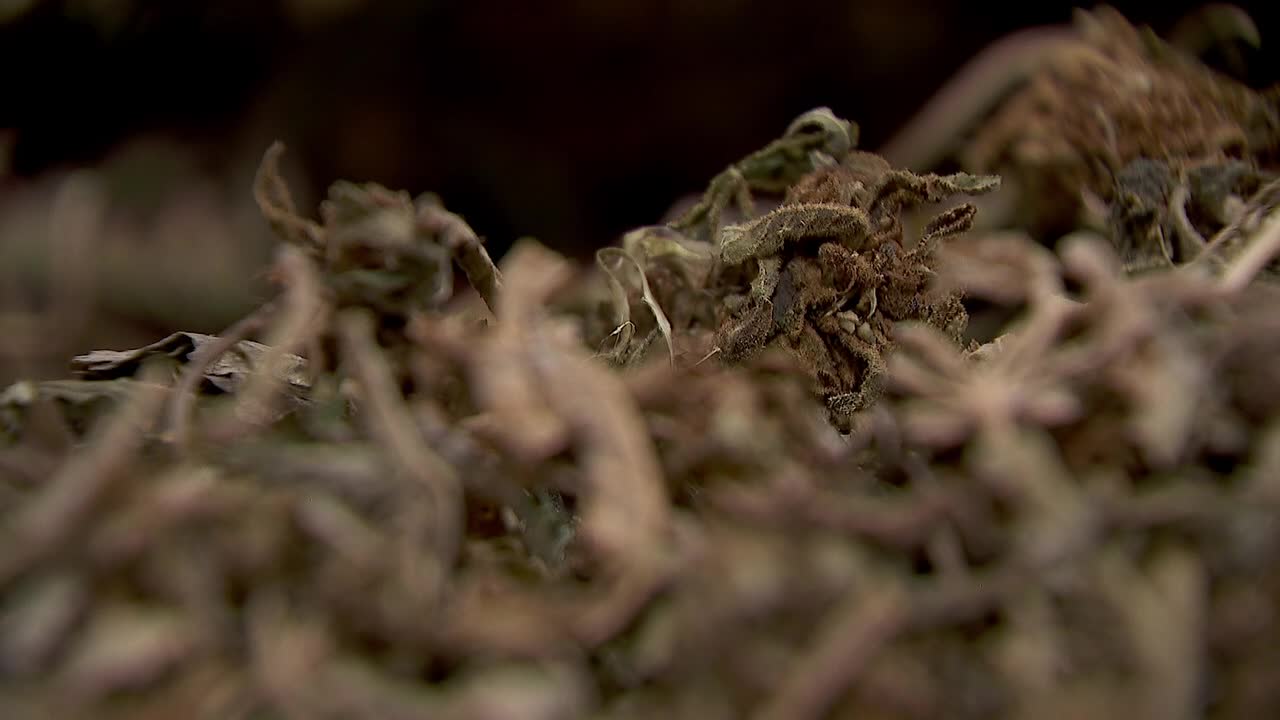 Hemp THC deadline hits $200 million industry, leads to layoffs, but liquor stores may maintain — FOX 9, Medina Business news