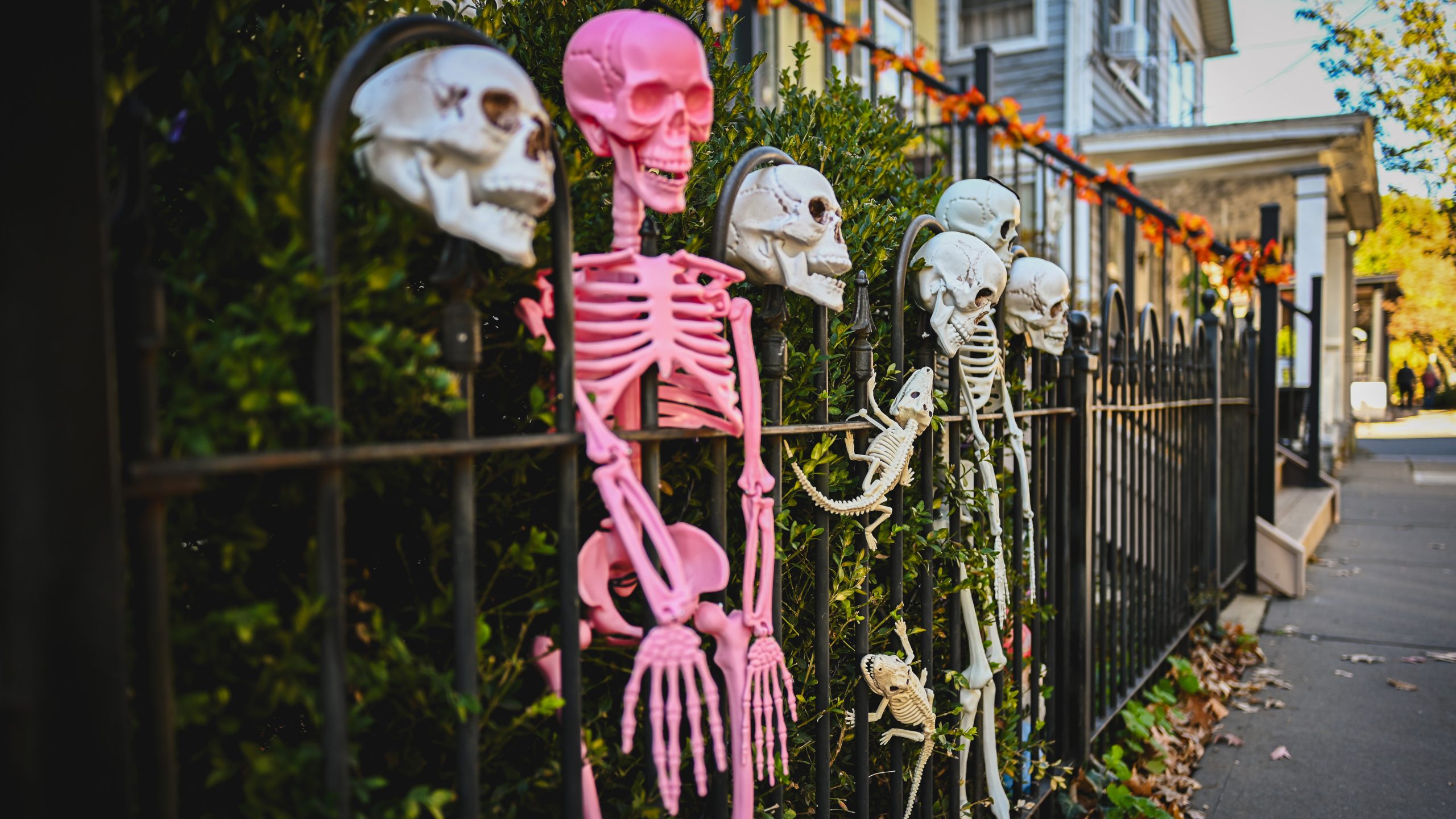 America's best cities for Halloween, ranked — FOX 9, Medina Community news