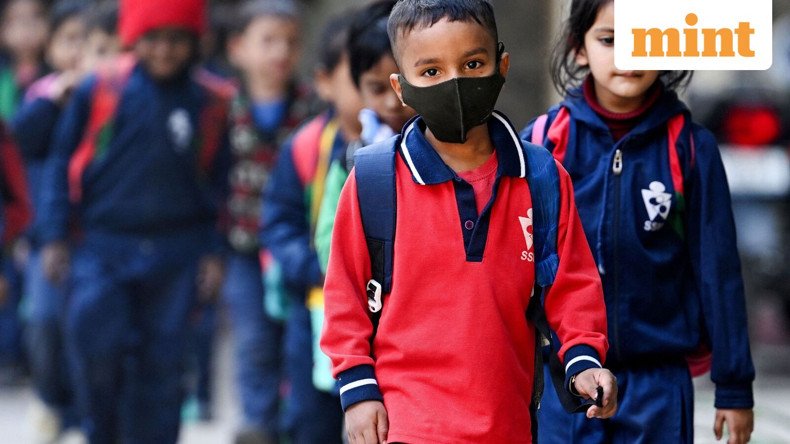 Chennai school holiday, Oct 21: Schools shut in four Tamil Nadu districts as heavy rains predicted | Check IMD alert — Mint India, Medina Schools news